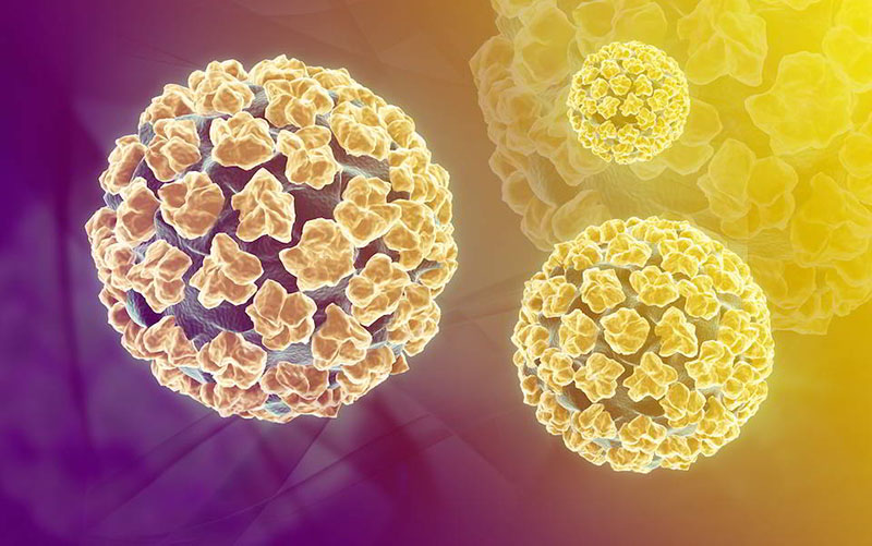 Virus HPV là một trong những nguyên nhân gây ung thư cổ tử cung